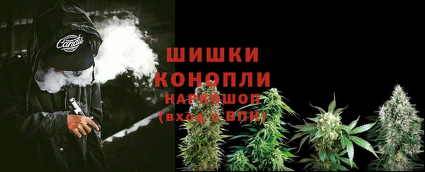 стафф Кинешма