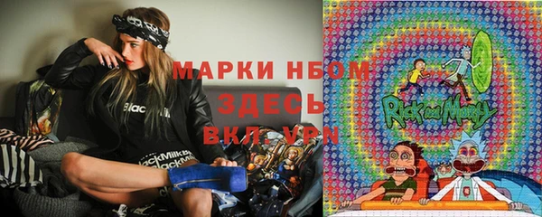 стафф Кинешма
